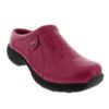 Sanita Shoes